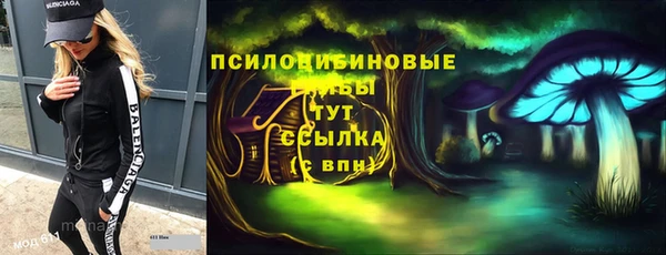 ПСИЛОЦИБИНОВЫЕ ГРИБЫ Богородицк